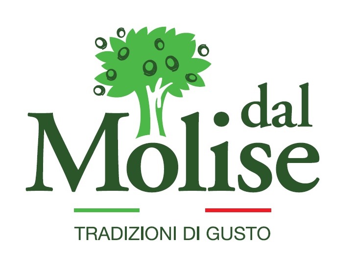 dalmolise group srl logo