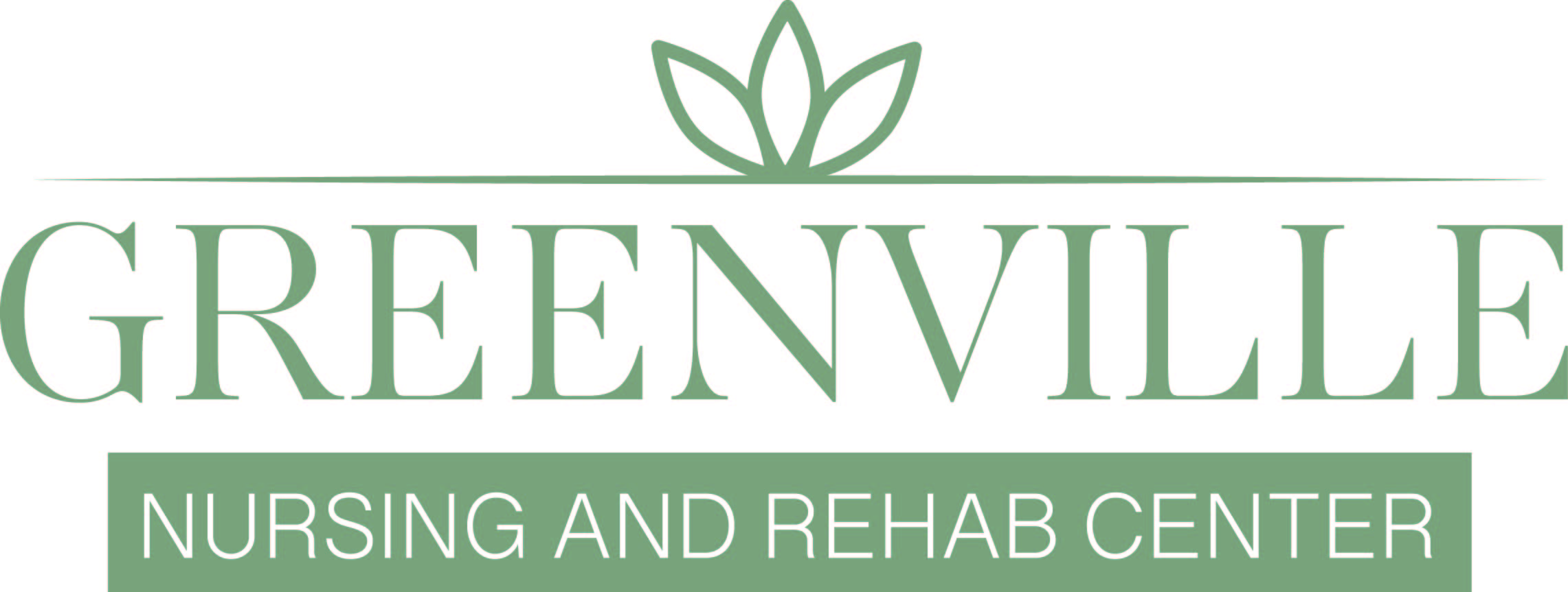 Greenville Nursing and Rehab Center
