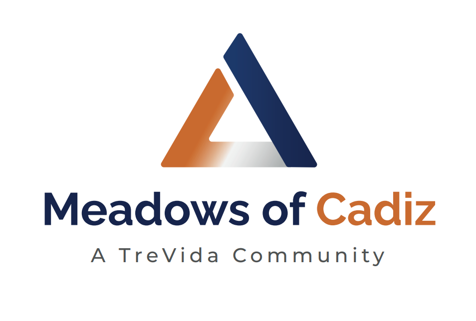 Meadows of Cadiz