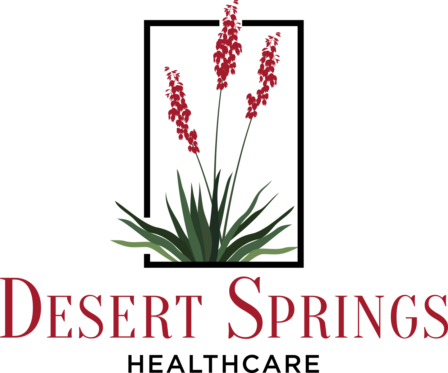 Desert Springs Healthcare