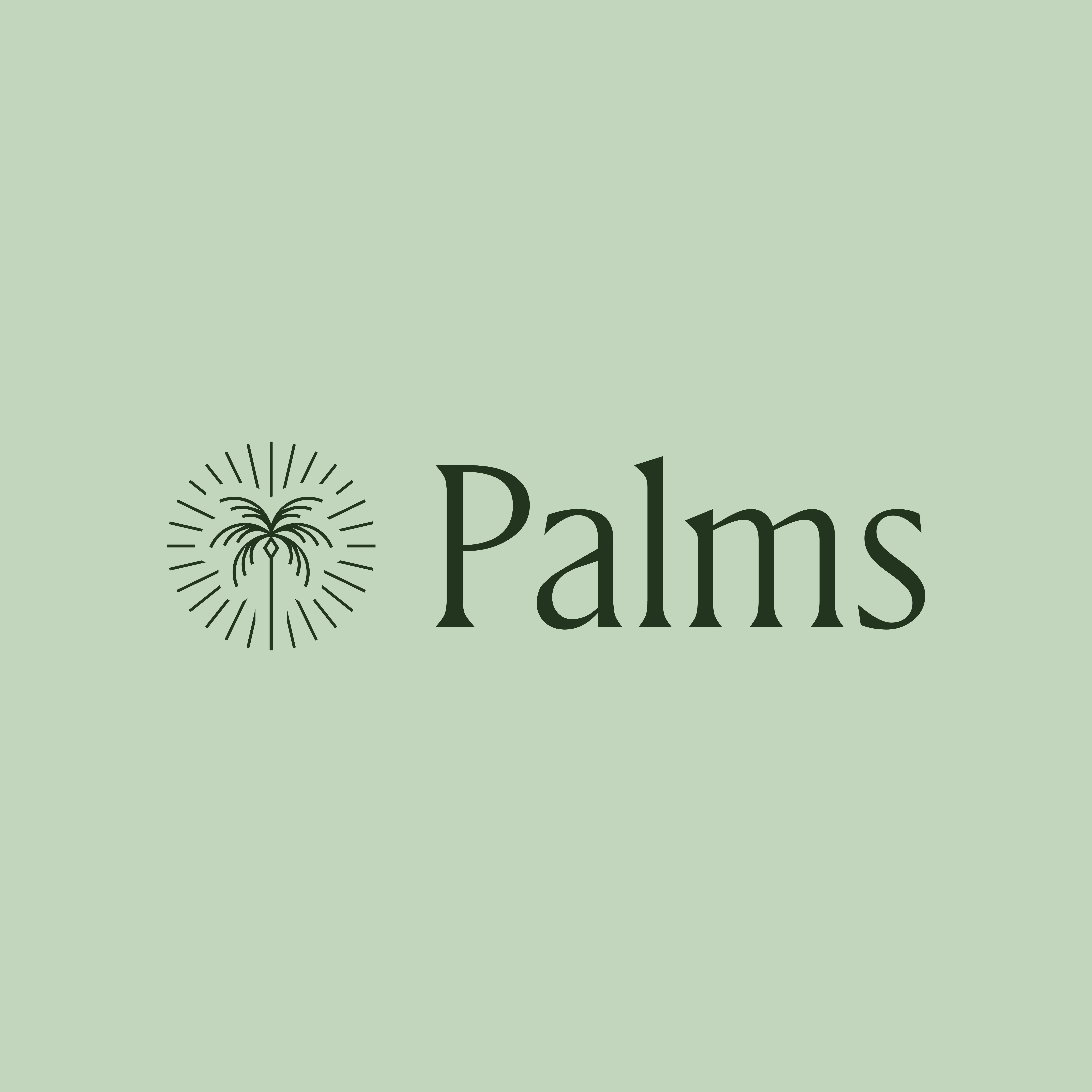 Palms Care Center 