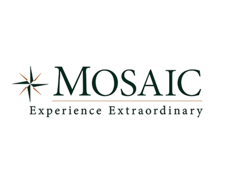 Mosaic Management