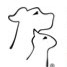 North Tampa Pet Hospital