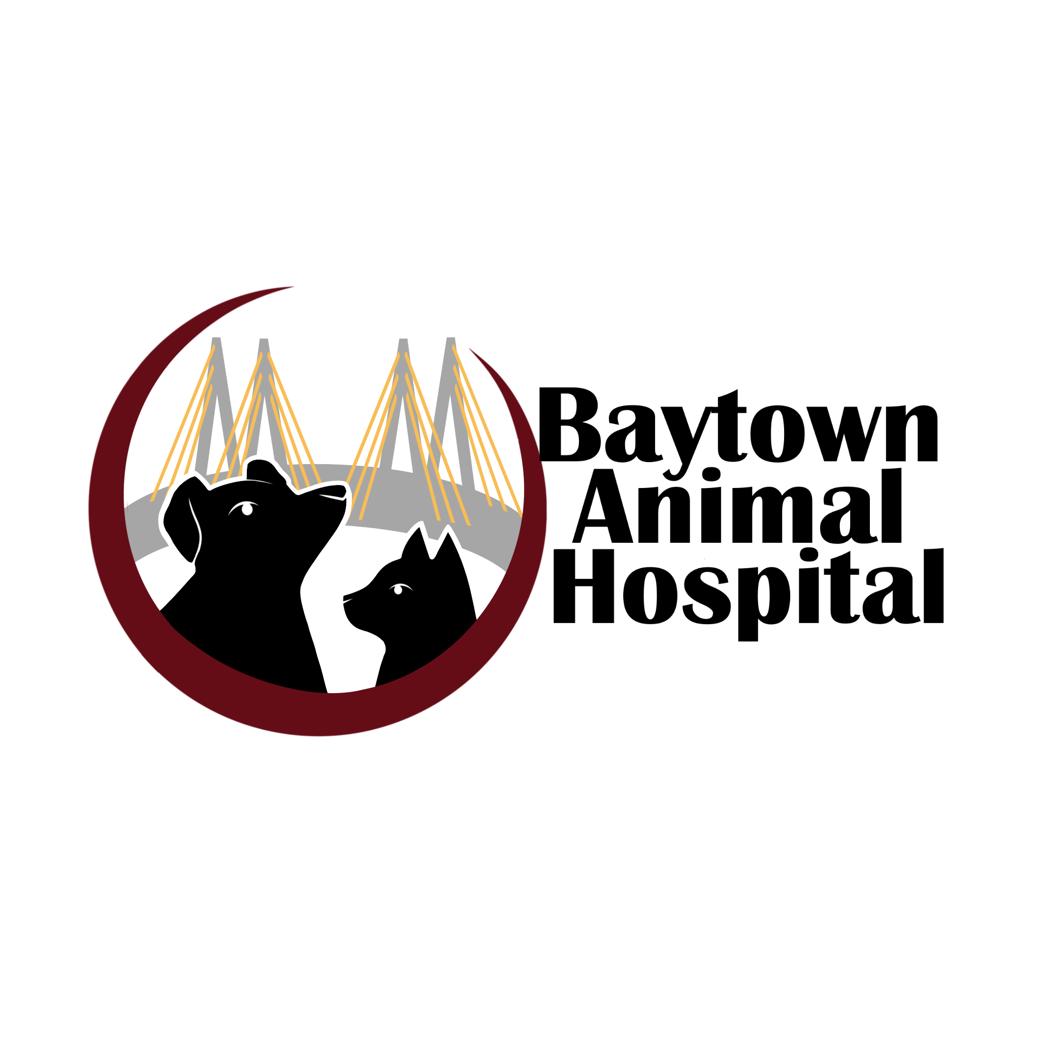 Baytown Veterinary Management Inc