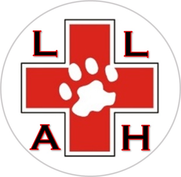 Lake Lavon Animal Hospital