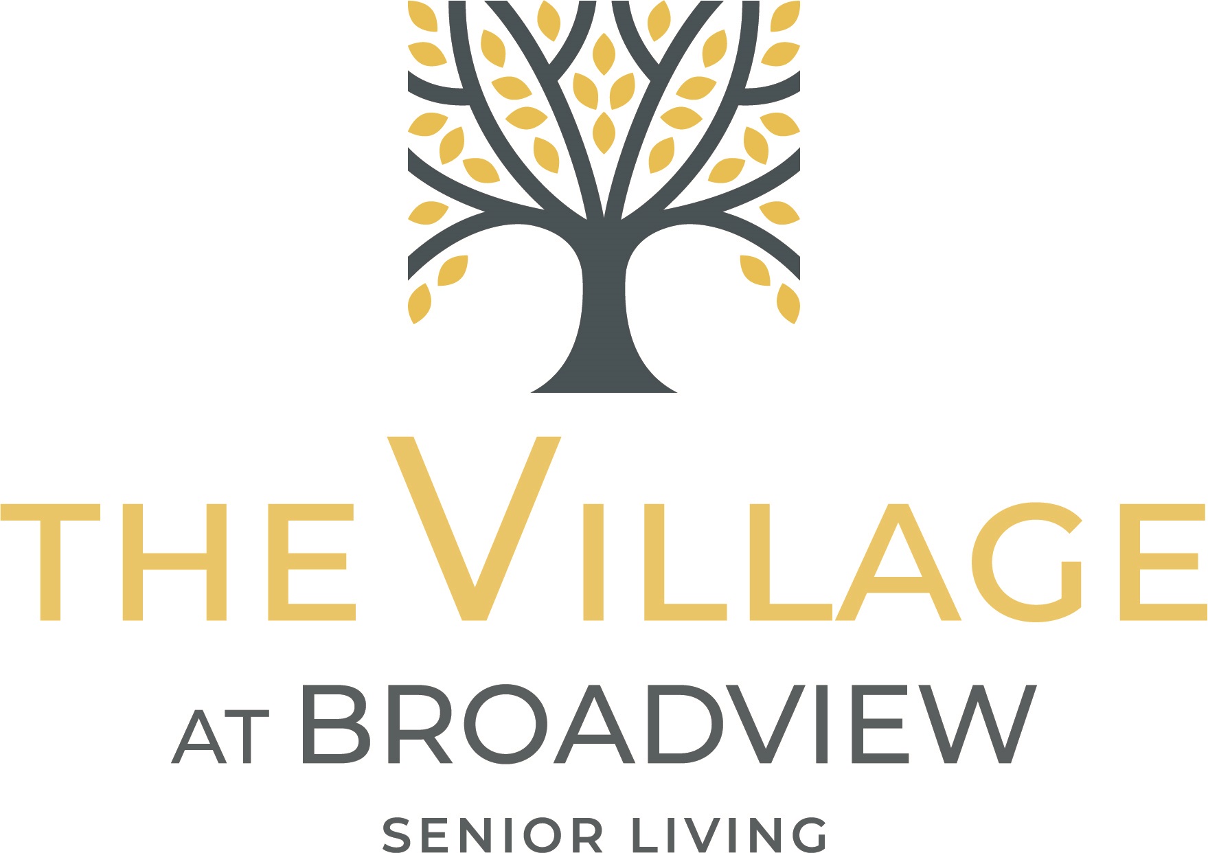 The Village at Broadview