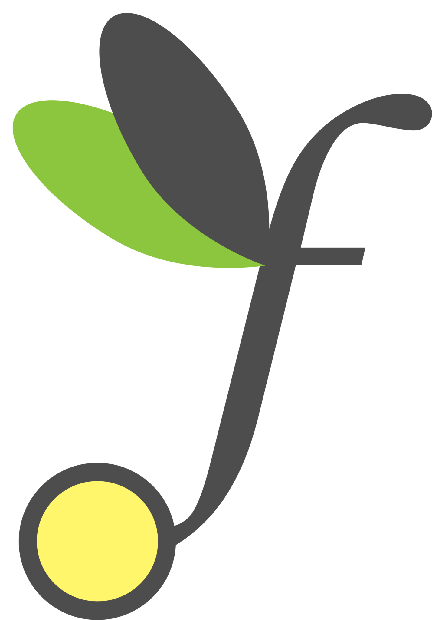 Firefly Home Care