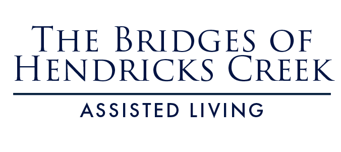 The Bridges of Hendricks Creek