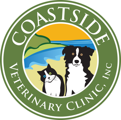 Coastside Veterinary Clinic, Inc