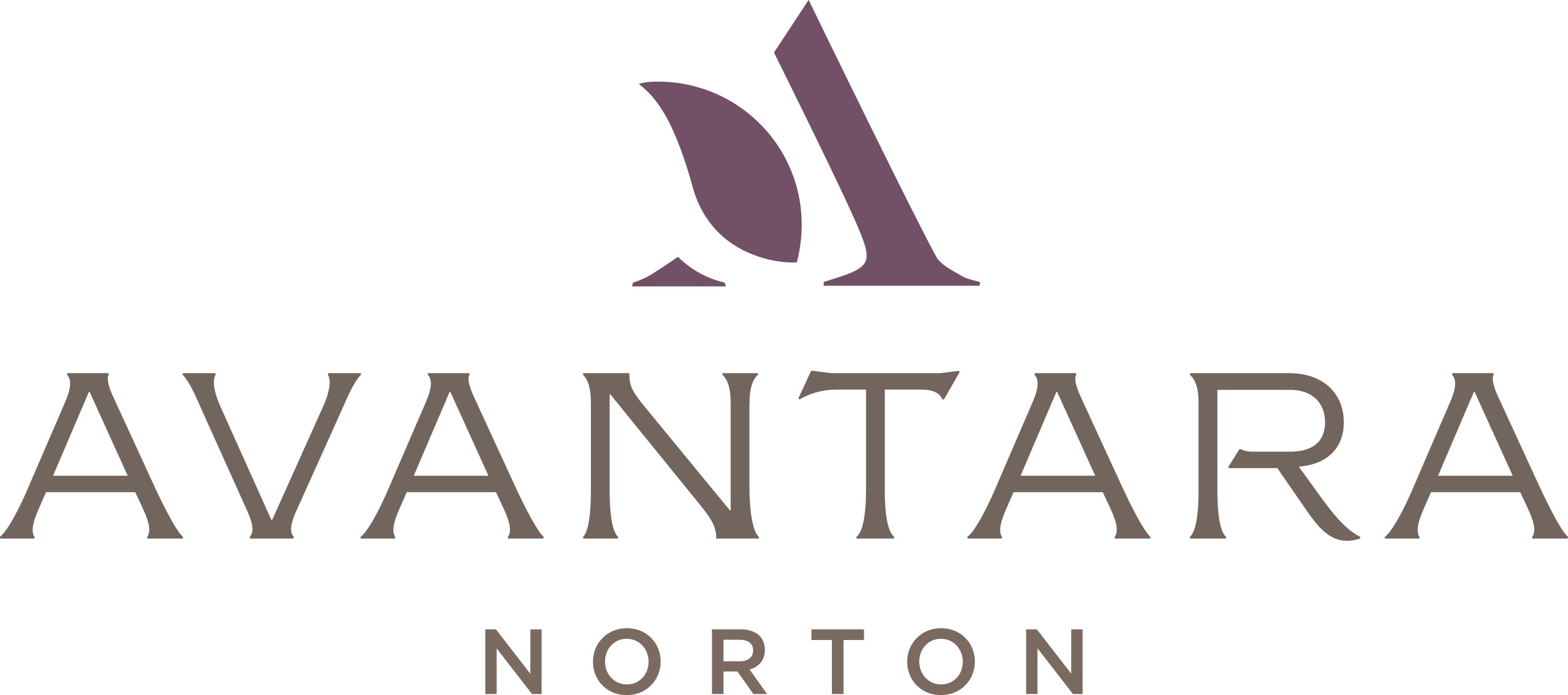 Avantara Norton