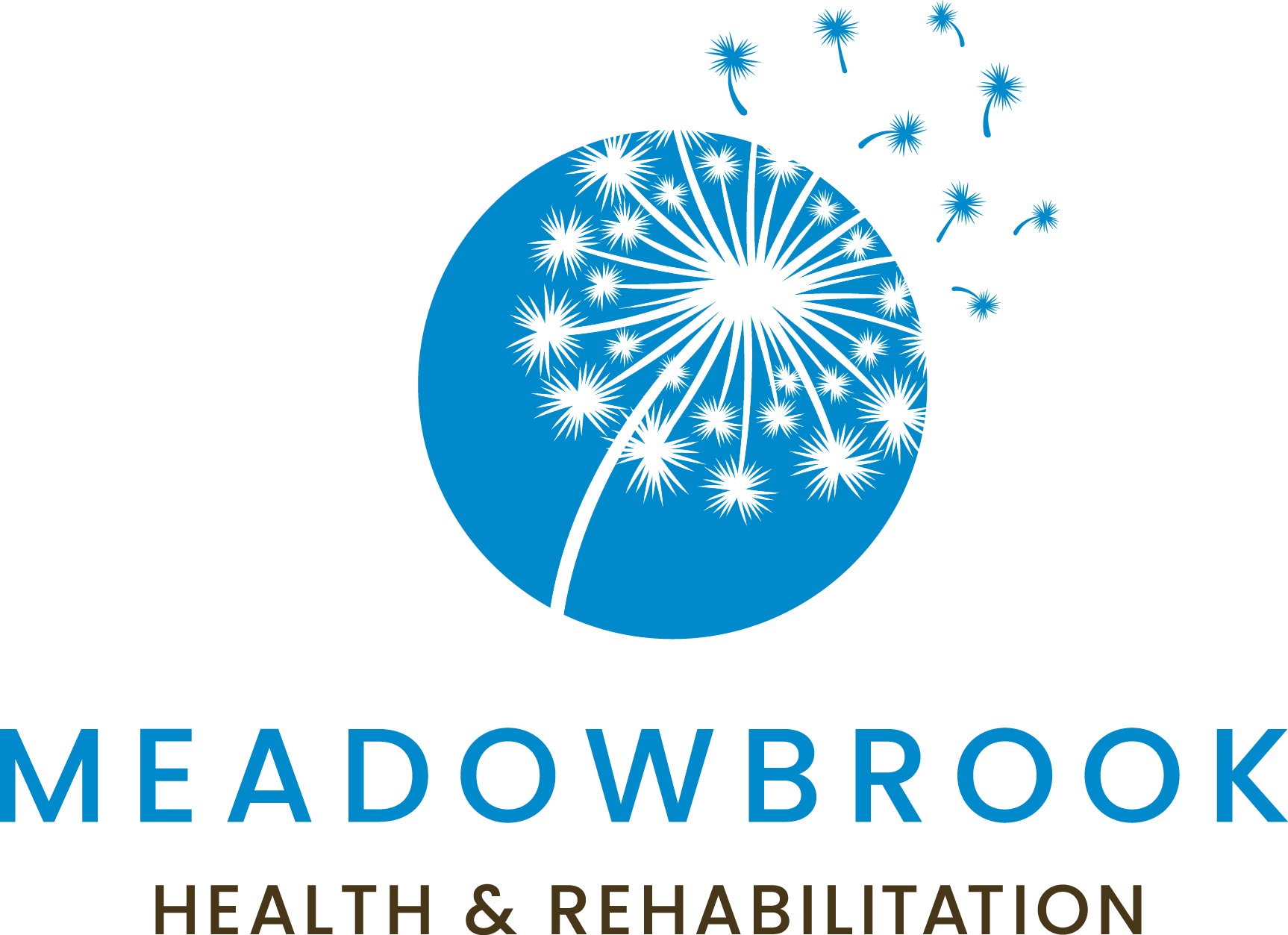 Meadowbrook Health and Rehabilitation