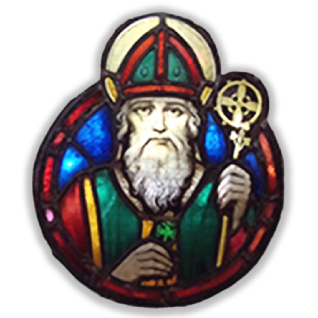 St. Patrick's Home Rehabilitation and Health Care
