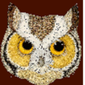 Maildover
