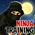 Ninja Jump Training Game