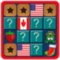 Memory Puzzle Pro