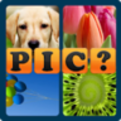 What is the picture?