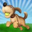 Pet Puppy