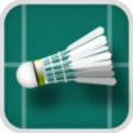 Gold Medal Badminton - Free Raquet Sports Game