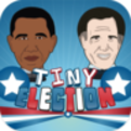 Tiny Election