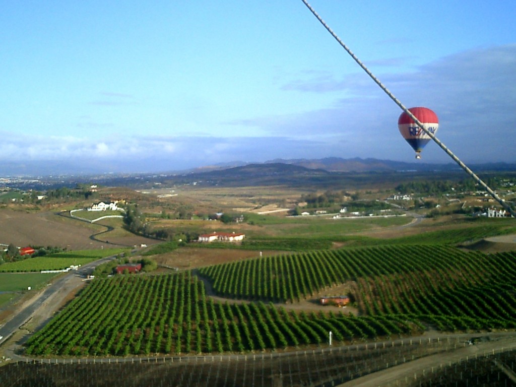 Hot Air Balloon view
