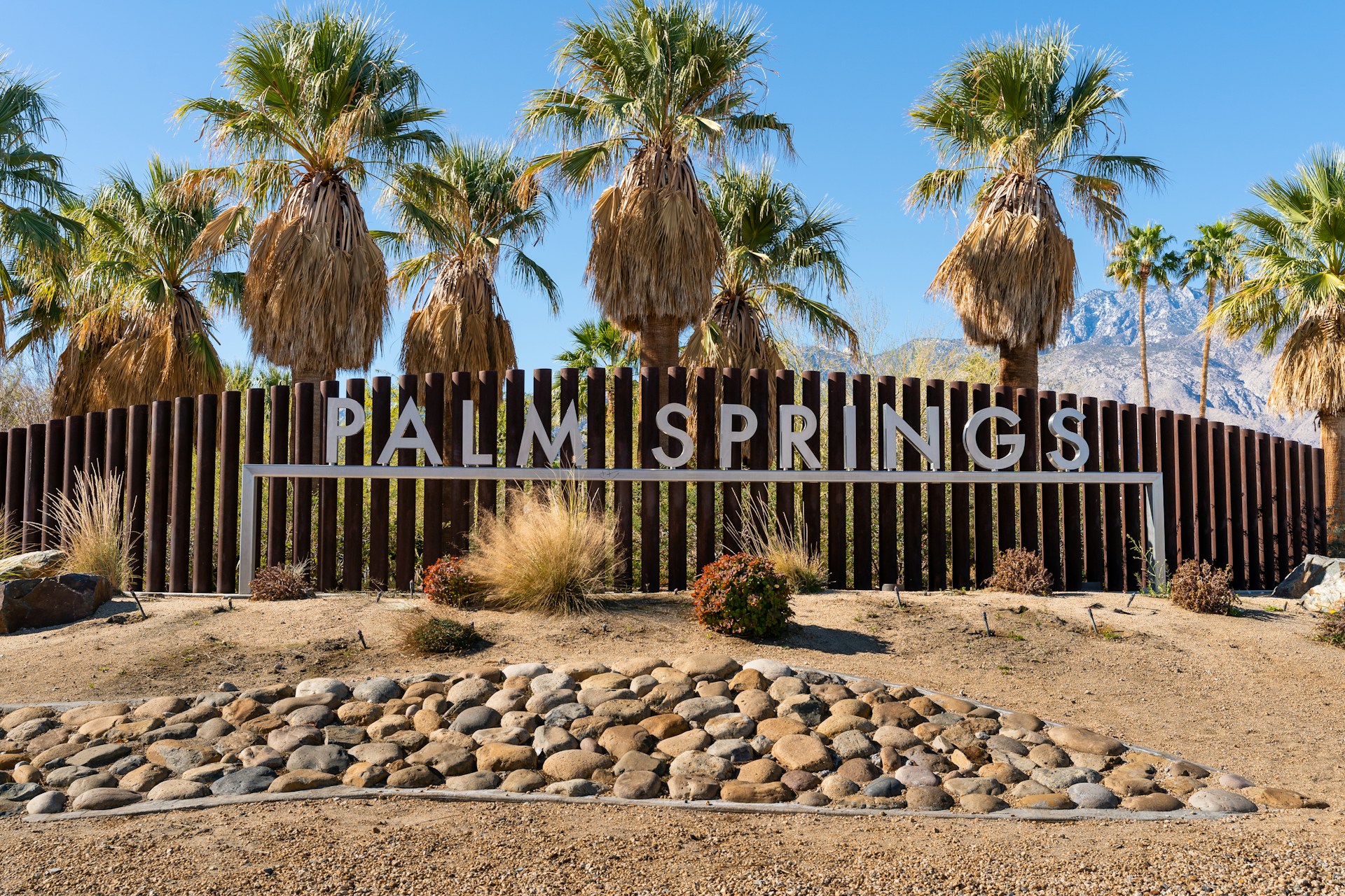 Palm Springs sign with palm trees behind it