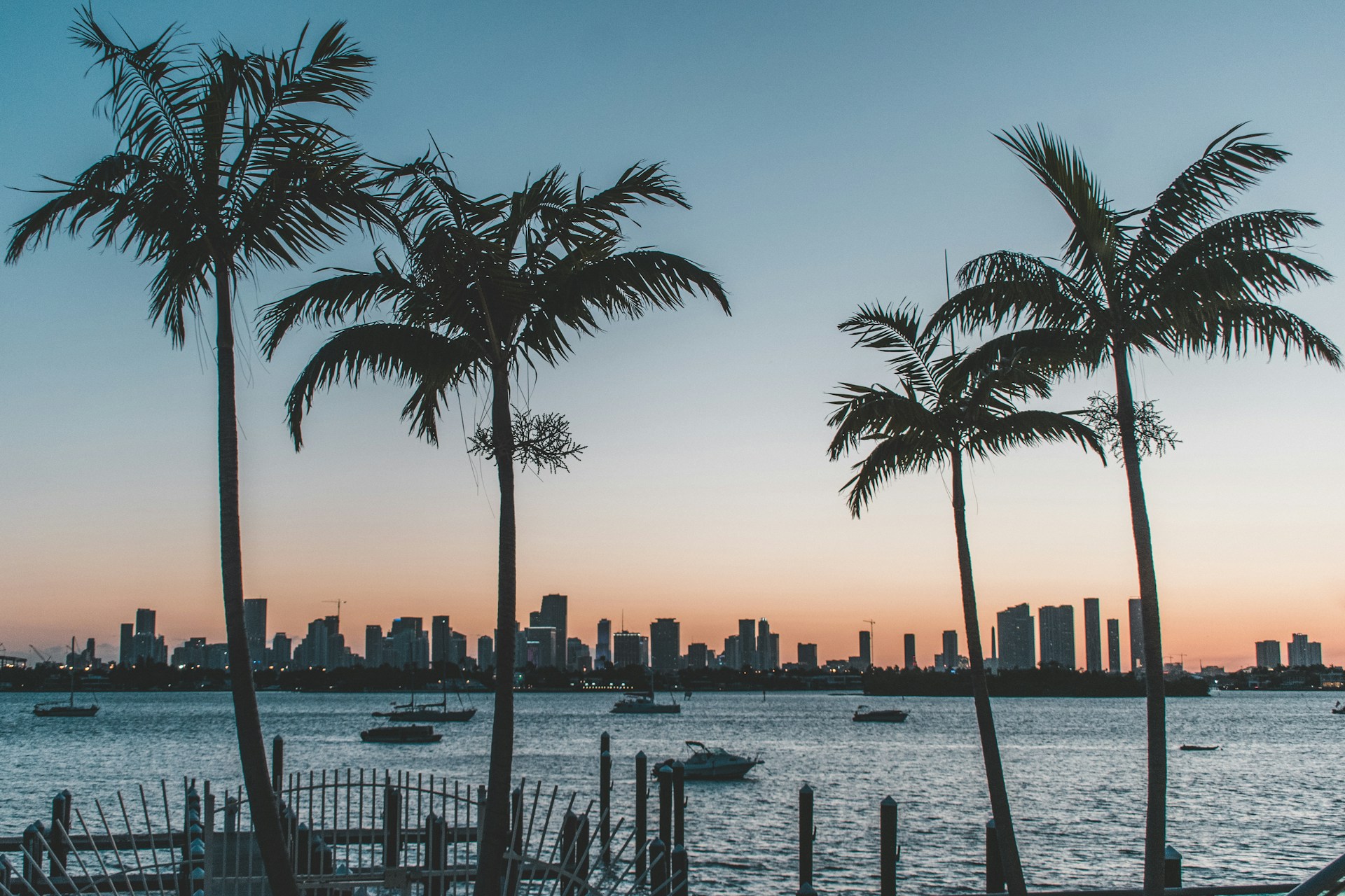 Palm trees with sunset over water in Miami