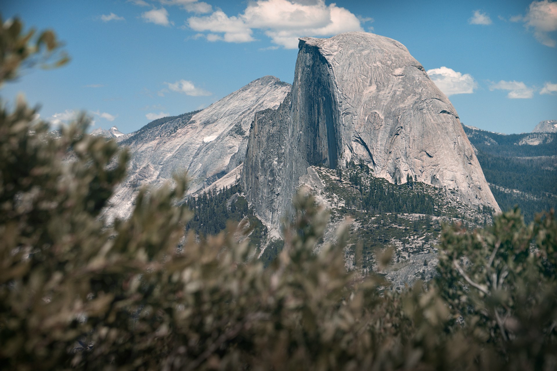 Half Dome mountain in Yosemite, above the treeline
