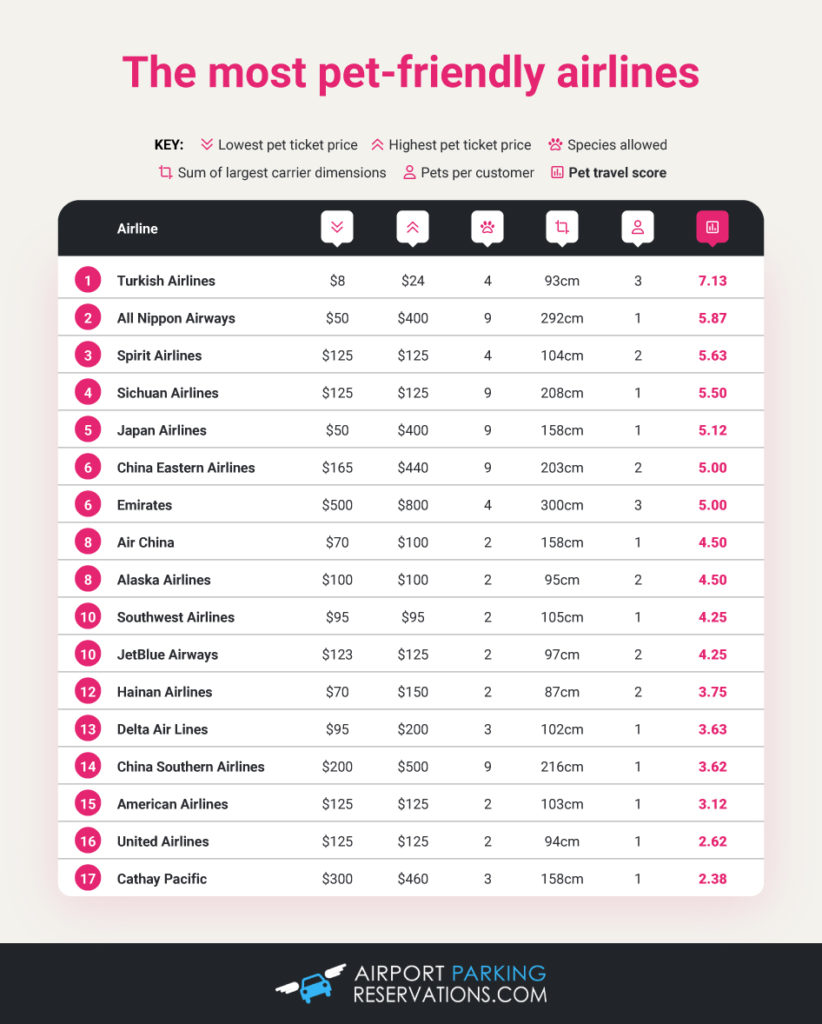 The Most PetFriendly Airlines When Traveling Abroad