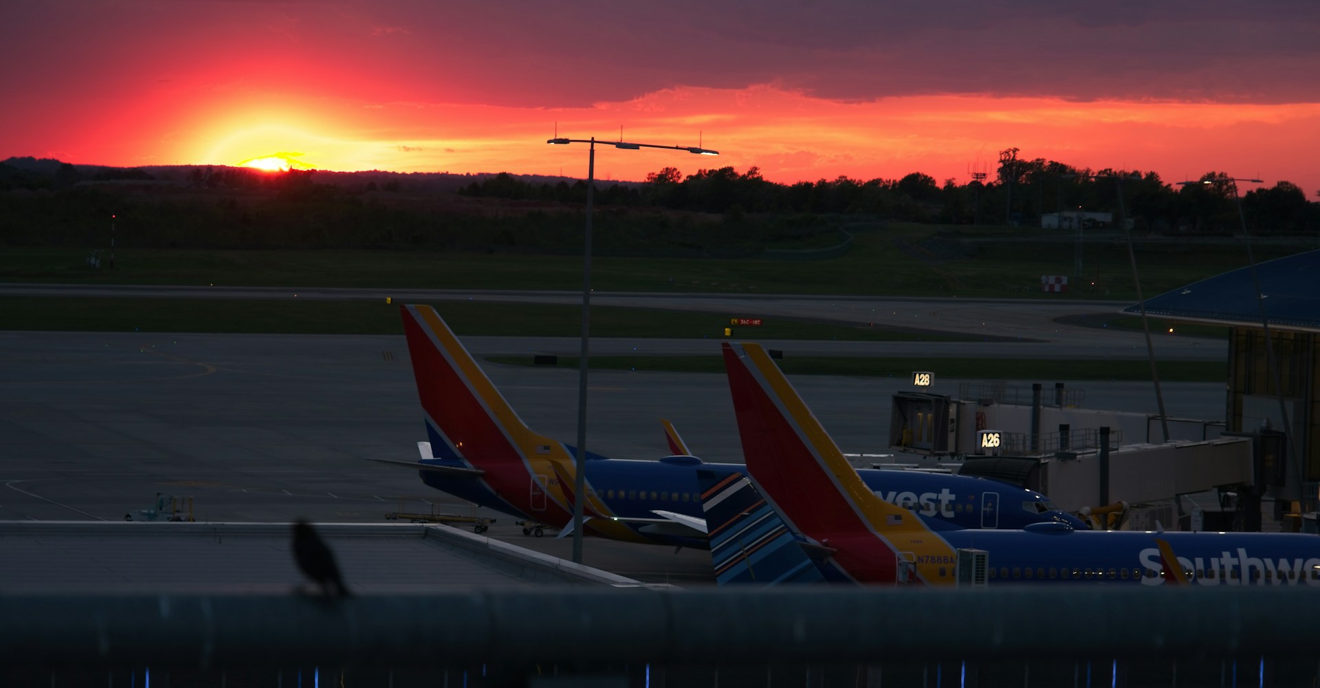 parked airplanes at CLT during sunset
