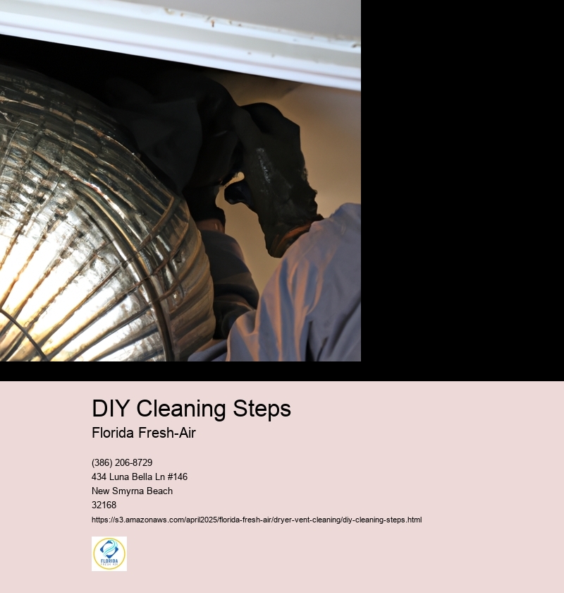 DIY Cleaning Steps
