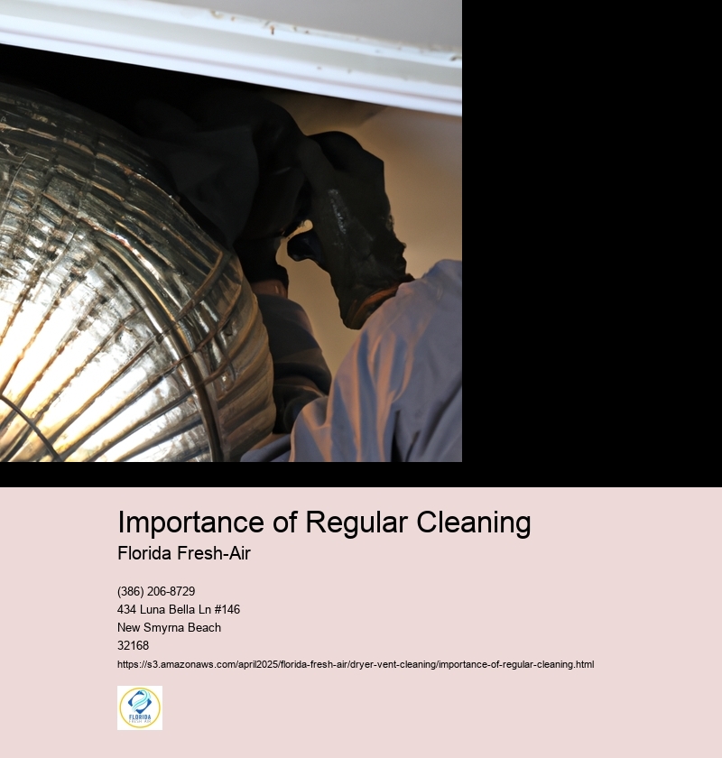 Importance of Regular Cleaning