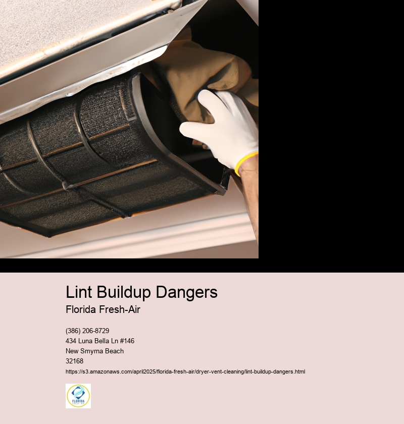 Lint Buildup Dangers