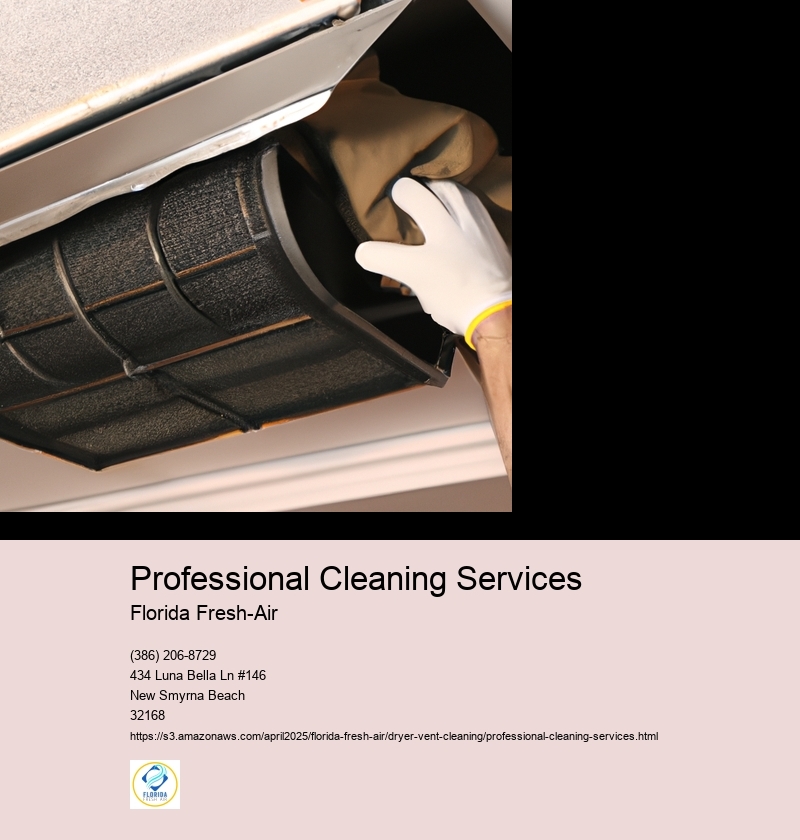 Professional Cleaning Services