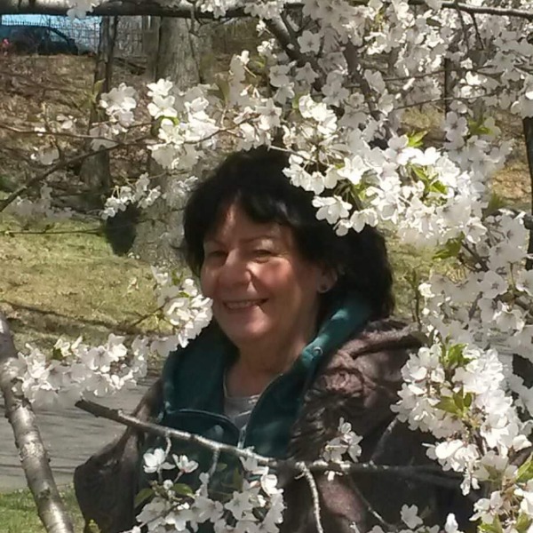 Cynthia E Russoniello Photo