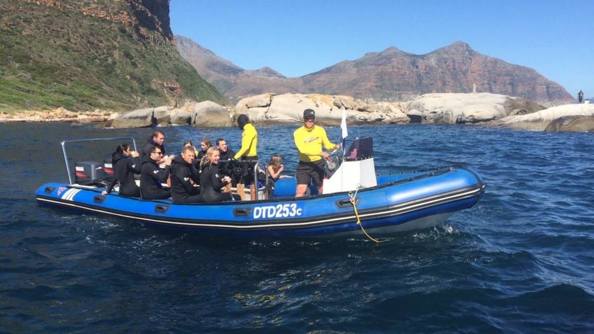 Seal Snorkeling Cape Town Snorkel with Seals
