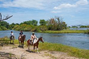 Vic Falls Connection - Horseback Trail Ride (2 HRS)
