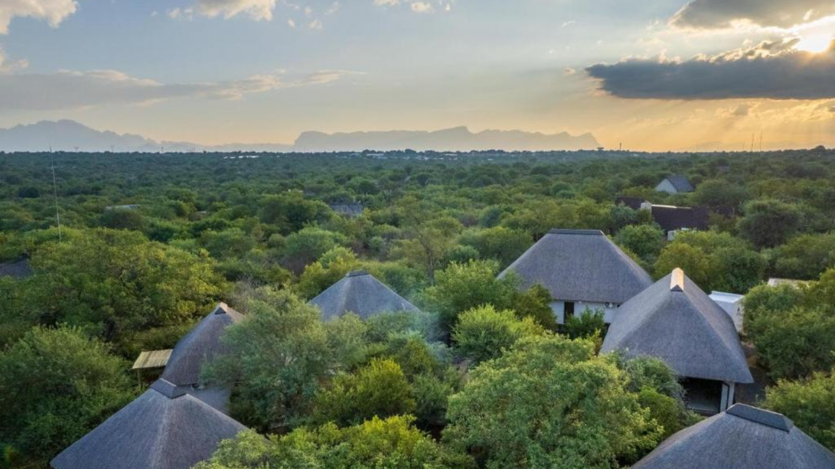 No Image Available