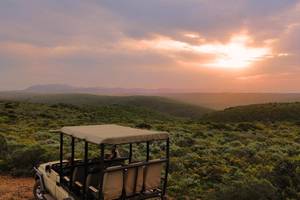 Nyosi Wildlife Reserve - 2h Late Afternoon Game Drive