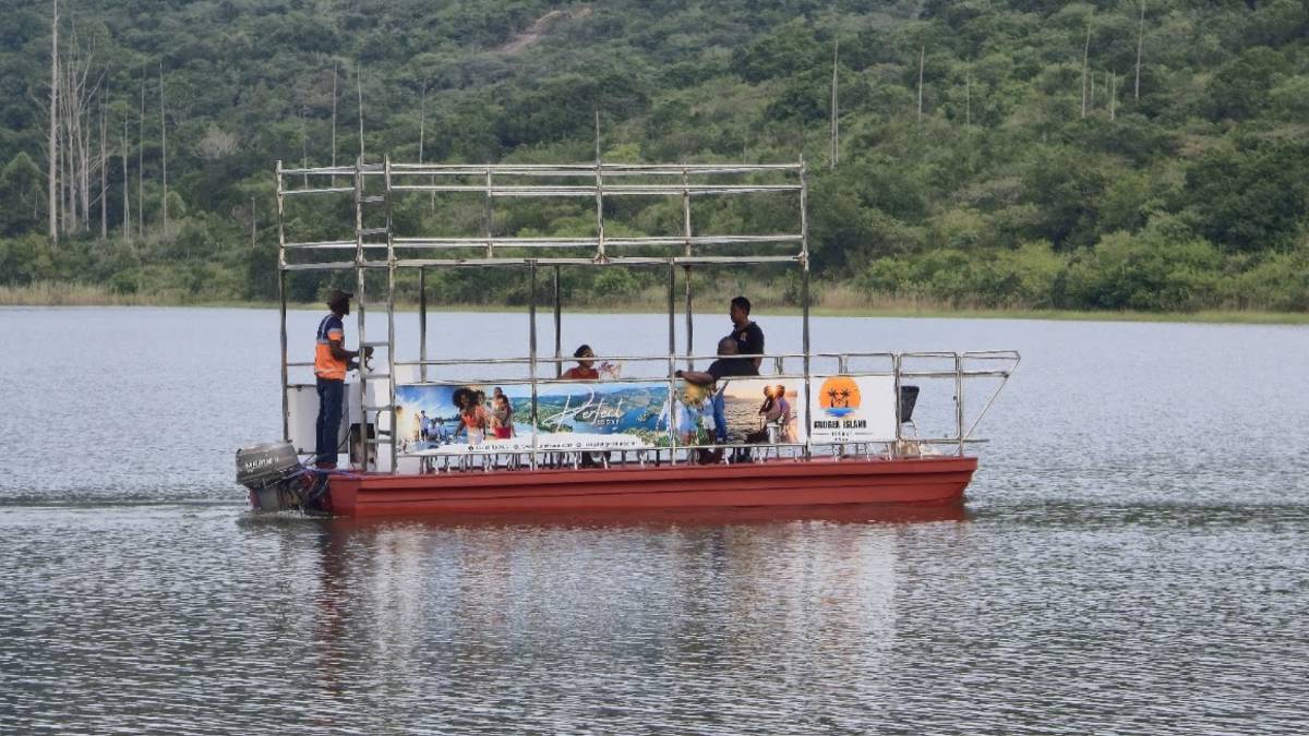 No Image Available