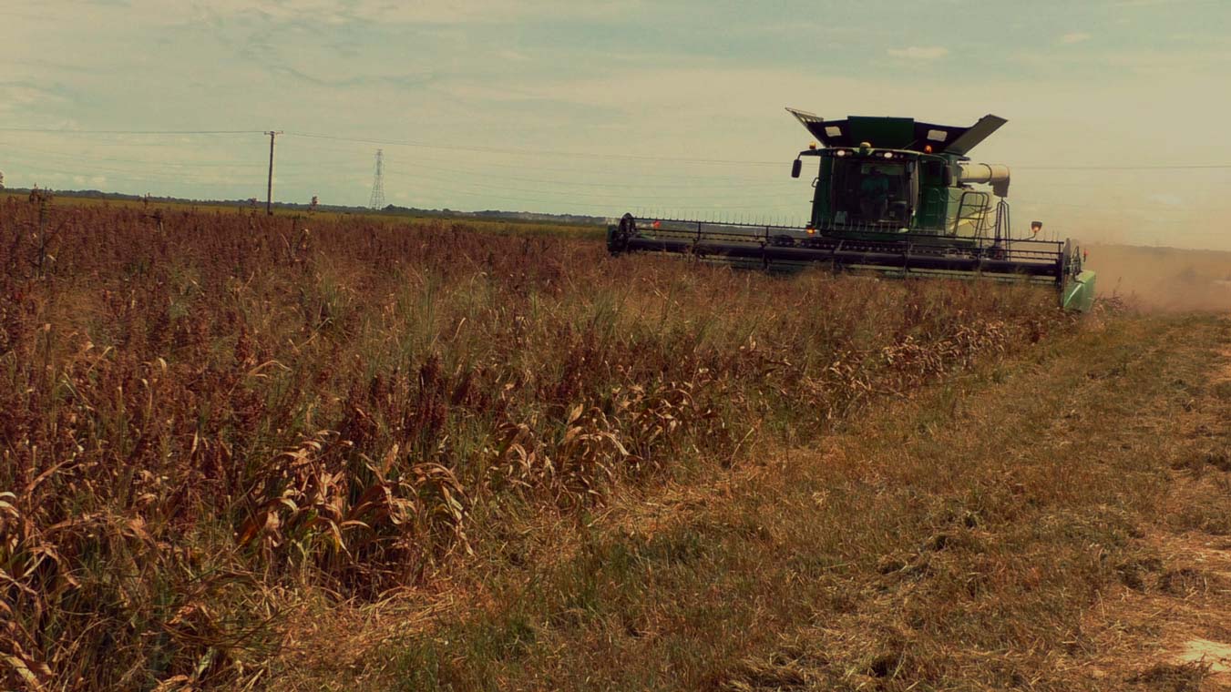 Arkansas Farm Bureau