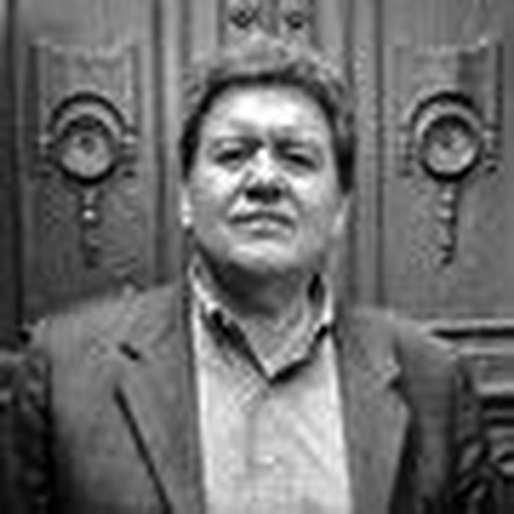 Bernardo Domínguez
