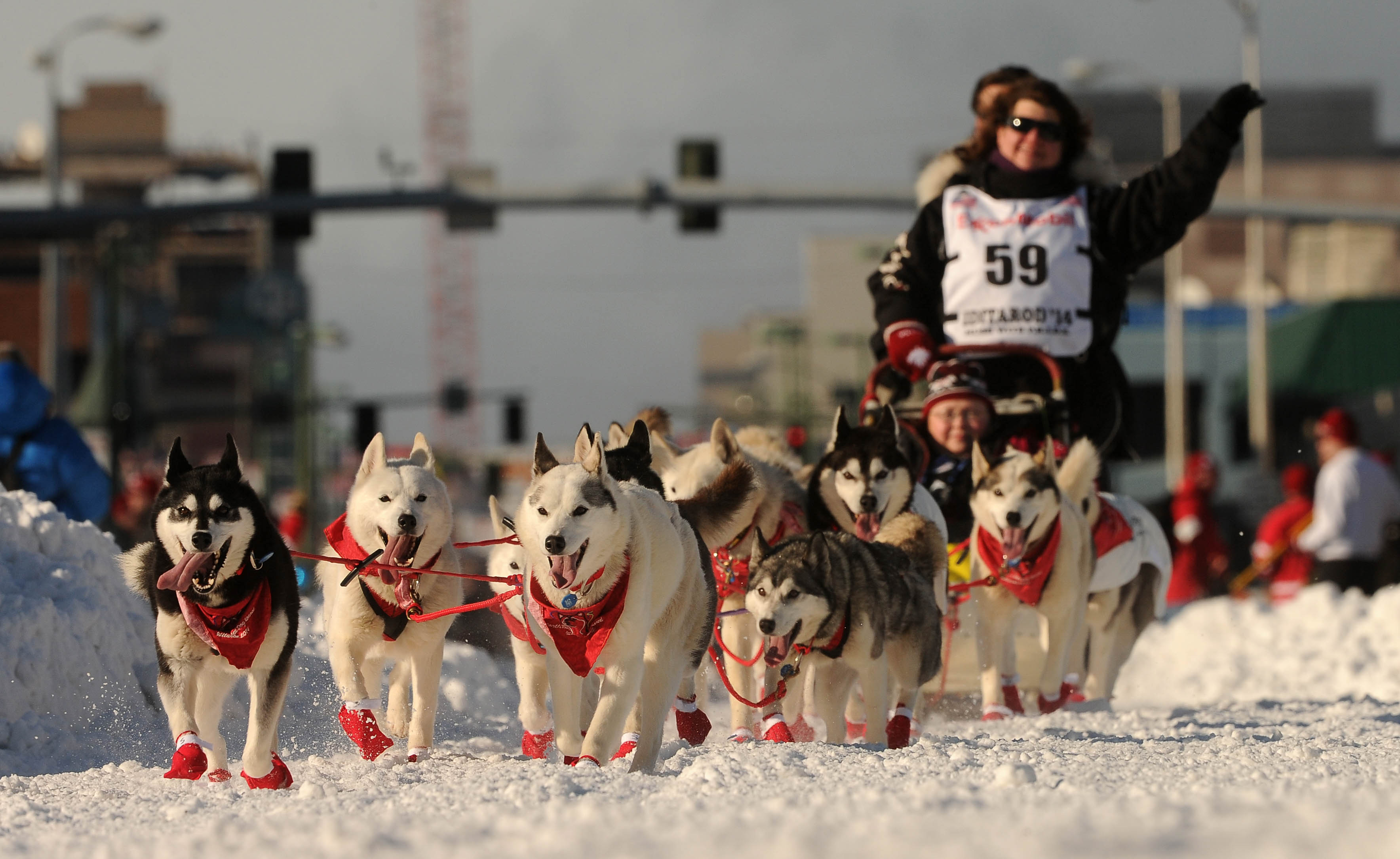 Iditarod