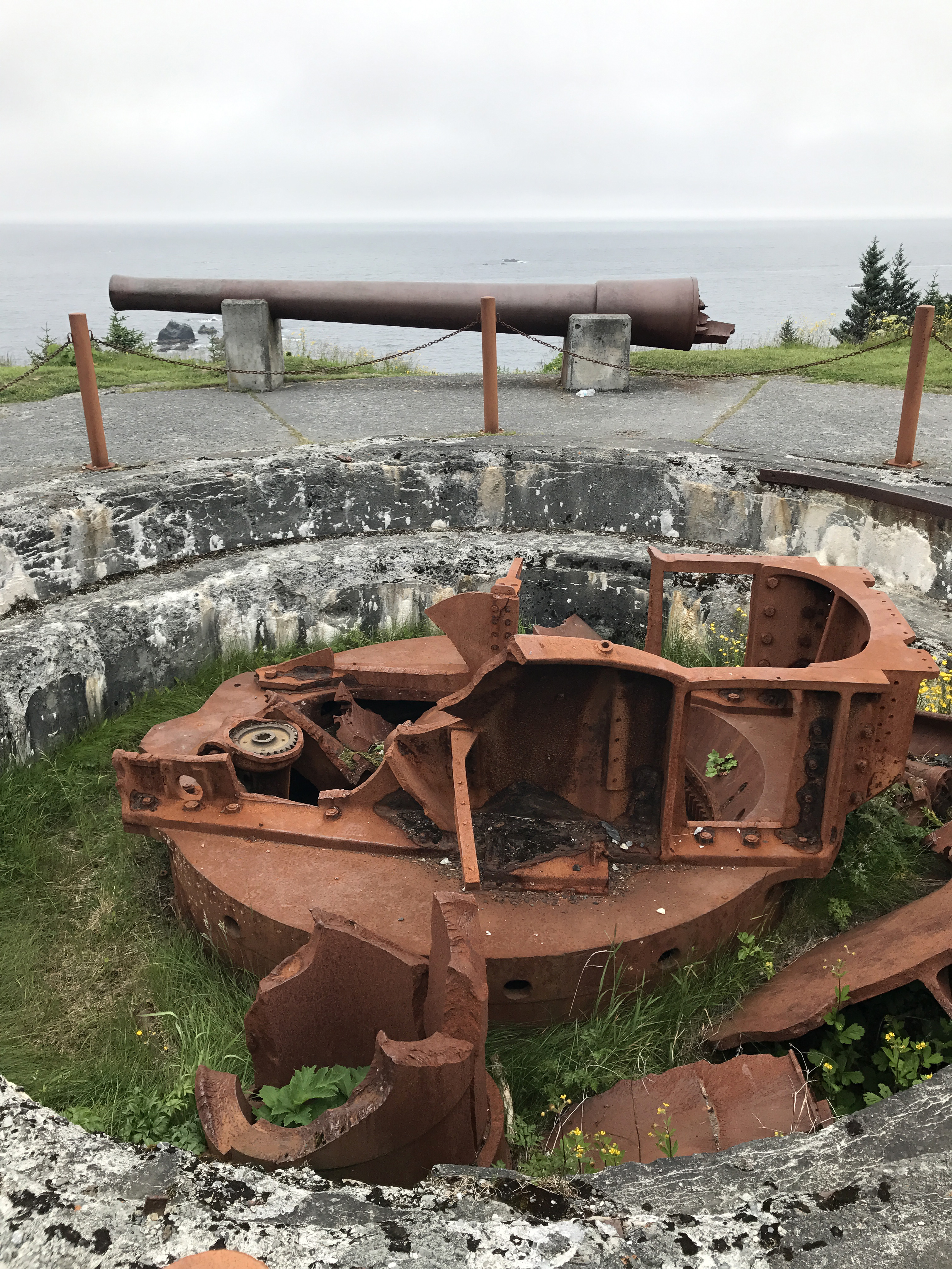 Whether you want history or nature, Kodiak's Fort Abercrombie is a 182-acre  treasure - Anchorage Daily News, image size:3024x4032