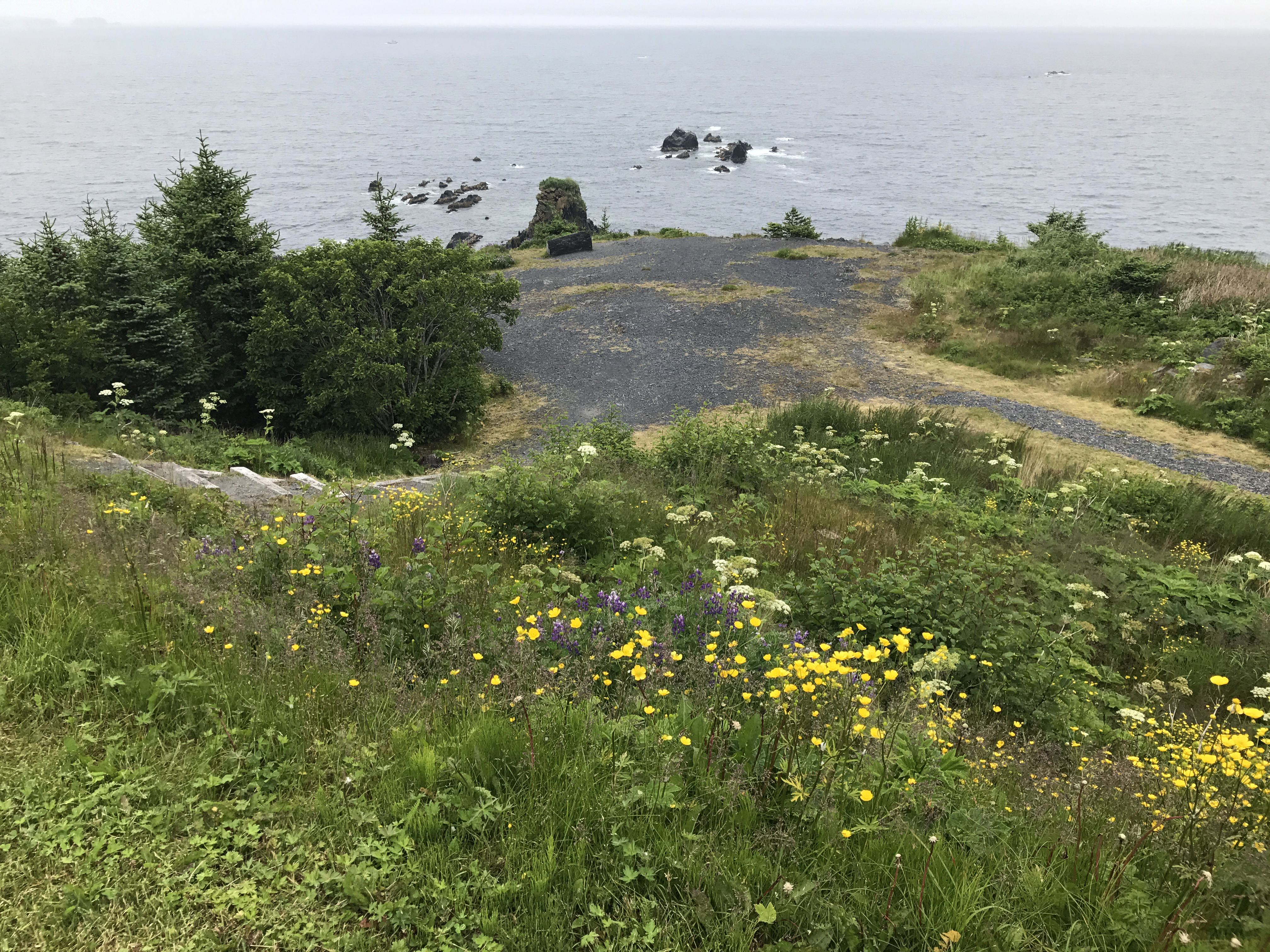 Whether you want history or nature, Kodiak's Fort Abercrombie is a 182-acre  treasure - Anchorage Daily News, image size:4032x3024