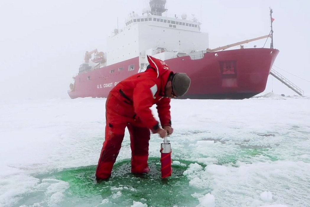 In 2014, a team of scientists headed to the Arctic Ocean to observe and document a massive plankton bloom, that had incredibly formed under the sea ice. A new report underscores how much scientists still have to learn about the life in the region. (Courtesy Amanda Kowalski)