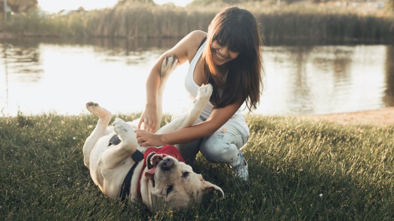 Mediante un exhaustivo análisis del comportamiento y el ADN de varias razas de perros se determinó cuáles son los más sociables (Shutterstock)