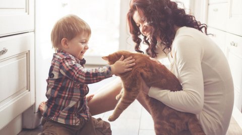 La mayoría de los encuestados adoptó a su mascota