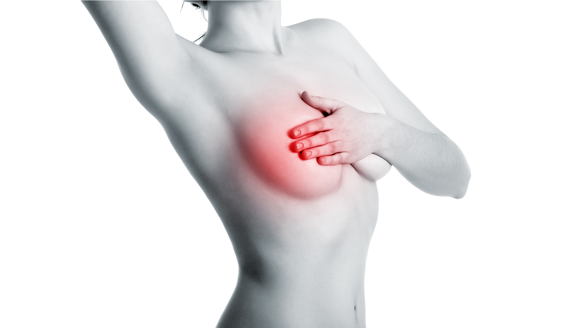 La realización de mamografías en forma sistemática disminuye la mortalidad por cáncer de mama entre un 30 y un 50% (Shutterstock)