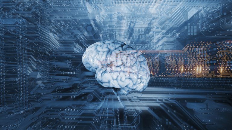 El cerebro posee estructuras tan complejas que es difícil determinar el estado de muerte cerebral (Shutterstock)