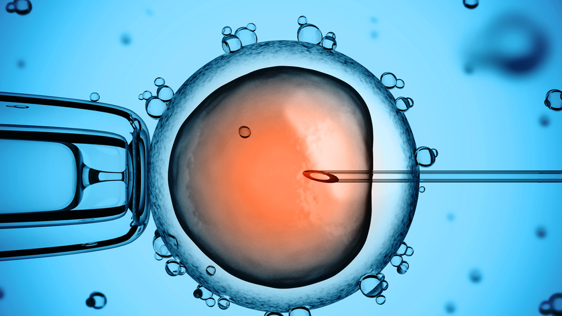 La maternidad puede programarse y la ciencia es una aliada para lograrlo. El debate está abierto